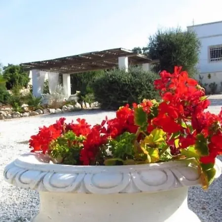 Mandorle Cisternino