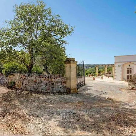 Mandorle * 奇斯泰尼诺